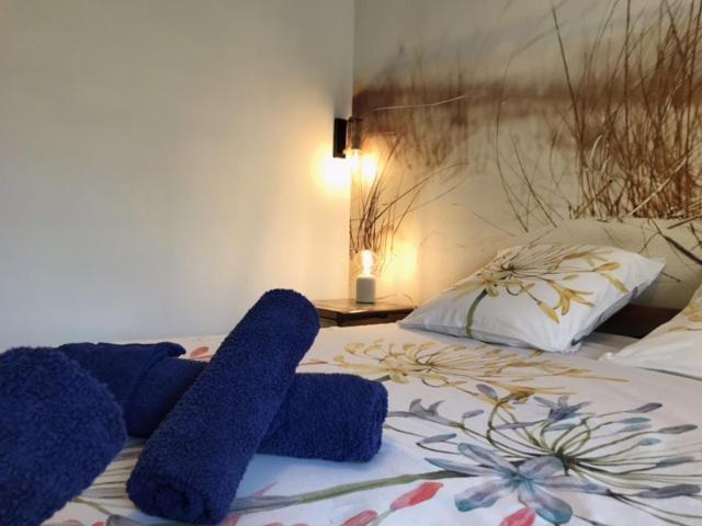 La Bastide Des Selves Bed & Breakfast Draguignan Ngoại thất bức ảnh